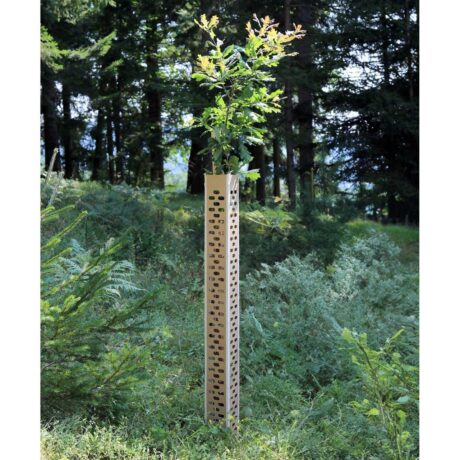 BioWit FMX, Baumschutzhülle, Wuchsdurchmesser 14-15 cm, Höhe 120 cm, biologischer Baumschutz aus einer Hartfaserplatte und Baumwollband