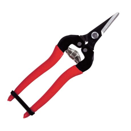 ARS-300SS Trauben/Ernteschere 100g, 17,1cm, abgerundete Klinge